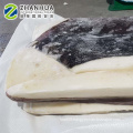 Frozen on boat gigas fillet wholesale price